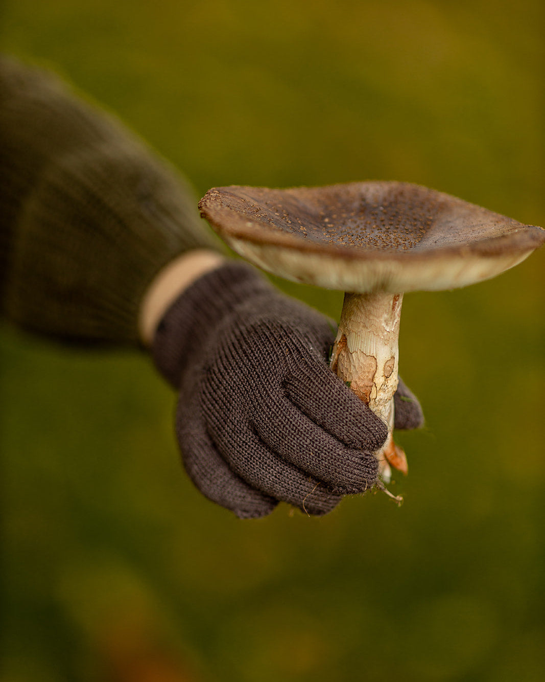 Merinould handske